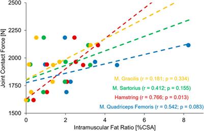 Periarticular muscle status affects in vivo tibio-femoral joint loads after total knee arthroplasty